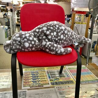 JELLYCAT Linus Leopard Seal ジェリー...