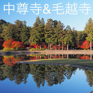 Go to 風水@平泉　同行者募集！