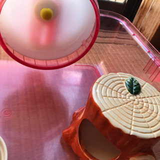 ハムスター　飼育セット　ルーミィの画像