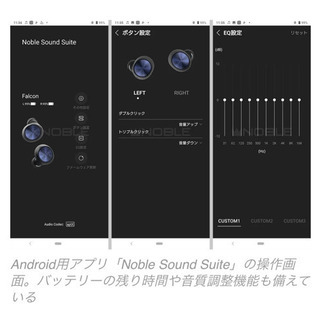 FALCON NOBLE ワイヤレスイヤホンの画像
