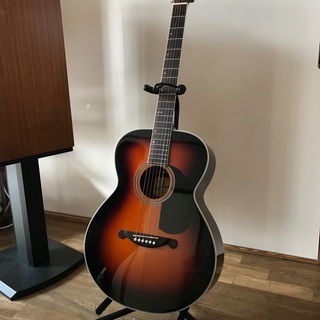値下げしました！　JAMES JF350WB 美品　ソフトケース　ギタースタンド　クロス　ミュート　ピック無料プレゼント