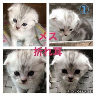 沢山のお問い合わせありがとうございましたm(_ _)m