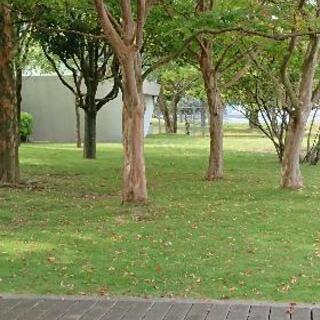 禅タロット~幸せのカード占い~
