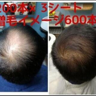 うす毛・細毛でお悩みの方　　増毛エクステを知ってますか？