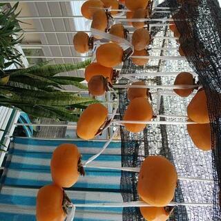 中国語クラスの開設準備をしています。児童から高齢者もちろん子育て中の人募集中です、の画像