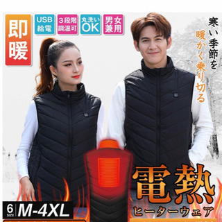 取引完了　新品 電熱ヒートベスト Lサイズの画像