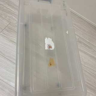 収納ボックス　衣装ケースの画像
