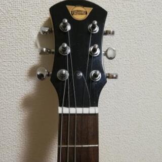 ピグノーズのアンプ内蔵ギターの画像