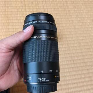 Canon KISSx5