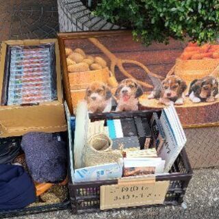 無料！　新品ビデオ他　お譲りします