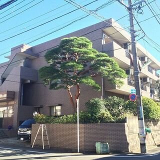 ⭕️インターネット無料🌸二子玉川駅　徒歩15分🌸スターヴァレイⅢ...