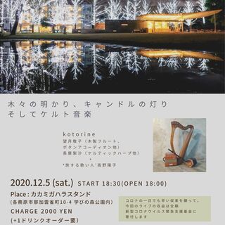 アイリッシュ・ケルト音楽ライブ「木々の明かり、キャンドルの灯り、そしてケルト音楽」の画像