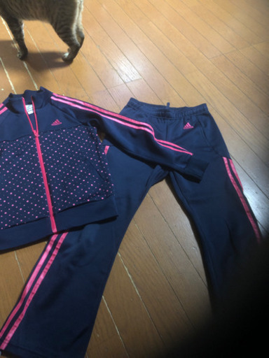 adidas綺麗です