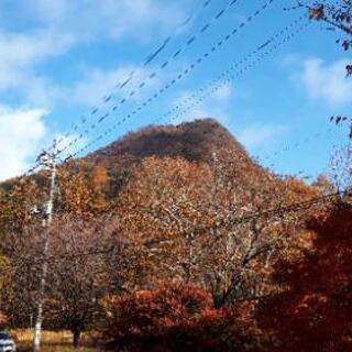 やっぱりゆる山登り行きます❢