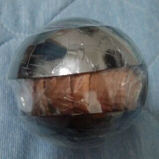 アルマジロトカゲ・ノーマルタイプです(^_^)