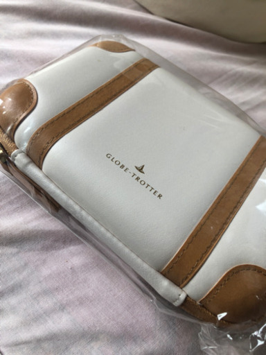 新品　ANA ⭐︎ Globe trotter