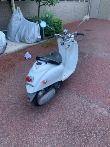 ビーノ‼️ キャンセルの為再出品！