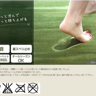 【最終値下げ！約20000円の高級ラグ】190×190　グリーン...