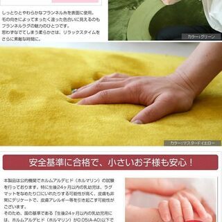 【最終値下げ！約20000円の高級ラグ】190×190　グリーンラグ  低反発 ＆ 高反発の画像