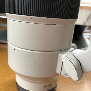 SONY FE70-200mm F2.8 GMの画像