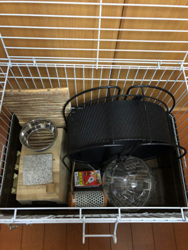 ハリネズミ　飼育セット