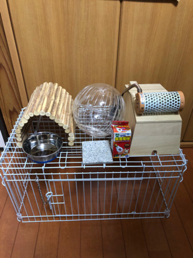 ハリネズミ　飼育セット