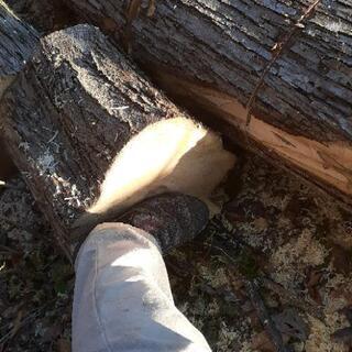 カツラ3900円→3400円→2900円　薪　配達無料だからお得！ 玉切り済原木　残りあと１台　薪ストーブ　薪　100キロ単位の画像