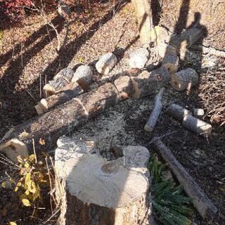 カツラ3900円→3400円→2900円　薪　配達無料だからお得！ 玉切り済原木　残りあと１台　薪ストーブ　薪　100キロ単位の画像