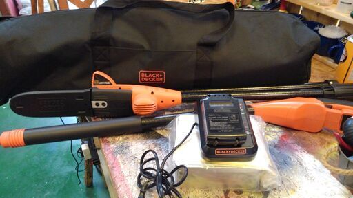 【店舗同時販売中】高枝　チェーンソー　充電式【店頭ご来店購入限定】