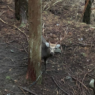 狩猟メンバー募集　愛知県豊川市
