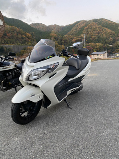 スズキ　スカイウェイブ250 type S