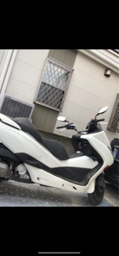 フォルツァ　mf10