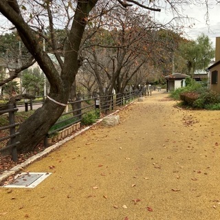 荒川☆芝川サイクリング仲間募集(ロードバイク)