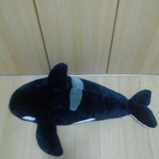 大きいシャチ　お取り引きの方決まりました。