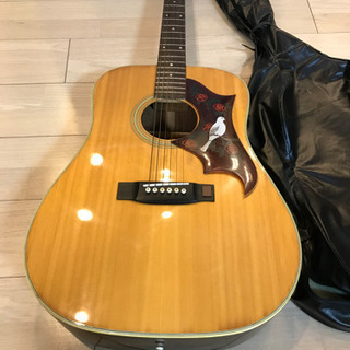 【決まりました】モーリス  Morris  W-20  アコース...