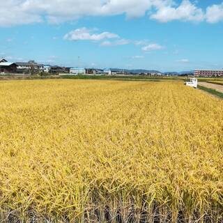 5年産☆★新米　ヒノヒカリ　玄米30キロ　安心の生産者　名前入り...