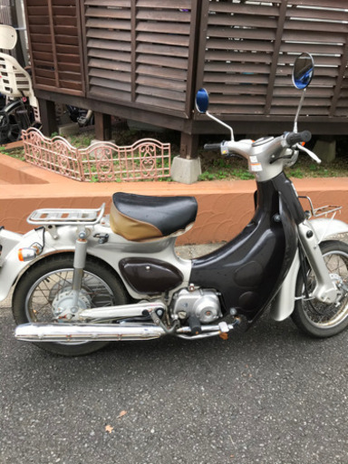 走行距離少ない色も珍しいリトルカブ(*≧∀≦*)