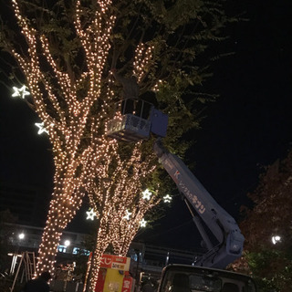 急募！造園土木、伐採、解体、イルミネーションの画像