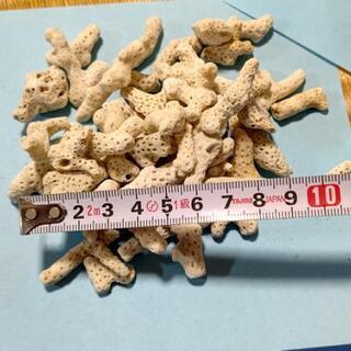 【アクアリウム】天然サンゴ(枝型)477ｇの画像