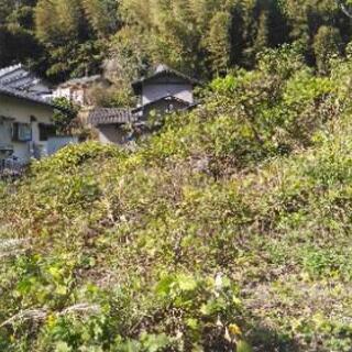 草、木、残土、コンクリートがらの処分 - 手伝って/助けて