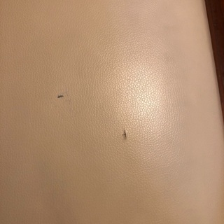 ３人掛け白いソファーベッドの画像