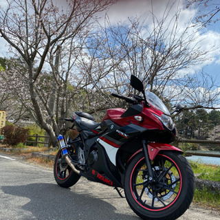 GSX250Ｒ売ります！（ただ今交渉中）