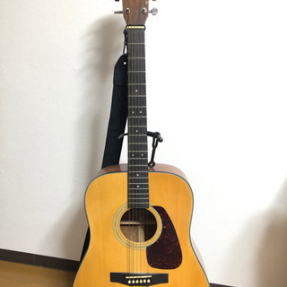 Morris アコースティックギター 美品 