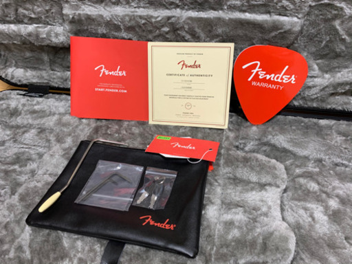 Fender USA American Professional Stratocaster 2020年製　ギター