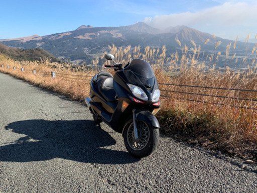 MF08 フォルツァZスペシャル  250cc