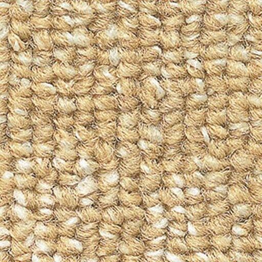 展示品 サンゲツ　カーペット　サンフレンディ　FYR-101 ?  (旧FY-51） 3.3m x 2.5m 　約5.3畳分（江戸間）ベージュ色　絨毯