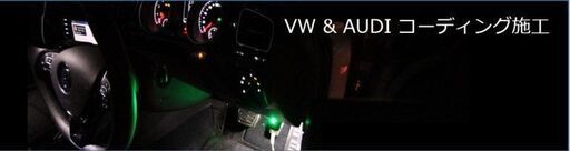 VW　AUDI　TVキャンセル　コーディング各種