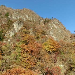 今週末11/14(土)　雲取山日帰り登山(奥多摩方面から)にご一緒しませんか？　現在男2女1子供1の計4名の画像