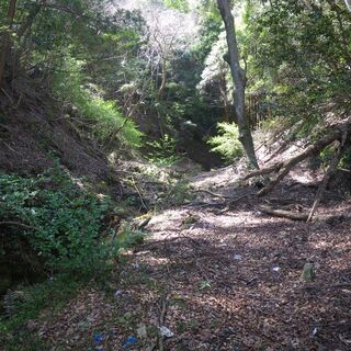 鴨川内浦　山林1.03万坪　700万円 - 鴨川市