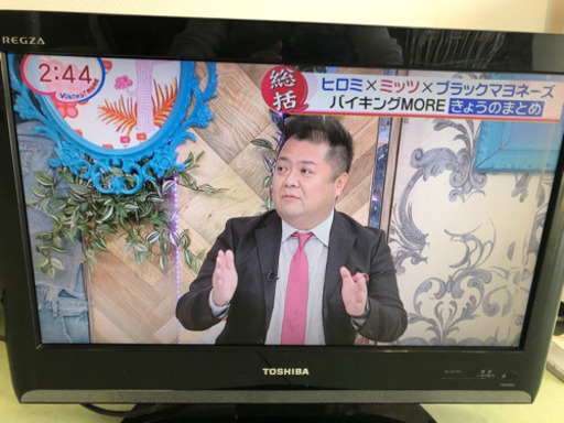 東芝 REGZA レグザ 19型液晶テレビ TV 10年製 19A8000　19インチ ハイビジョン